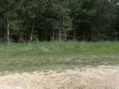 ブロンド, 顔射, ドイツ人, アウトドア