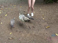 素人, 車, オーガズム, ハメ撮り, 公共, 剃毛, ガリガリ, 濡れ