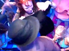 Real unexperienced party skanks blowing pricks