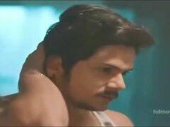 Bruinharig, Hd, Indisch