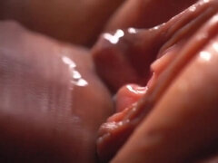 SLOW MOTION macro penetration in great detail