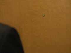 Enthousiasteling, Grote mammen, Pijpbeurt, Mollig, Lul, Fetisj, Japaans, Tieten likken