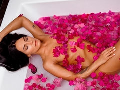 Bruinharig, Gevangen, Hondjeshouding, Buiten, Kut duiken, Mager, Strippen, Tiener