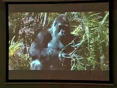 Grote mammen, Beroemdheid