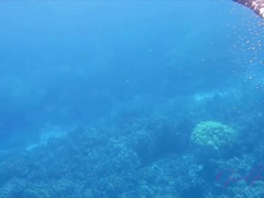 Strand, Blond, Pijpbeurt, Voetbeurt, Vriendin, Klein, Gezichtspunt, Tieten likken