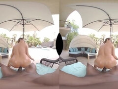 3d, Блондинки, Сборник, Межрасовый секс, От первого лица, Реалити, Чулки, Влажная