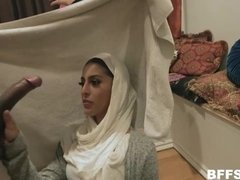 Arabisch, Grosser schwanz, Schwarz, Blasen, Gruppe
