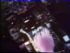 ポリス, ヴィンテージ