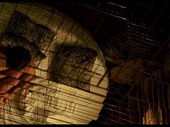 Célébrité, Compilation, Hard, Chevaucher