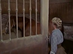 Domestique, Rétro ancien