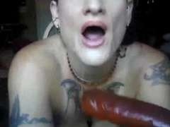 Amateur, Polla