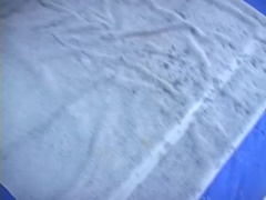 ディルド