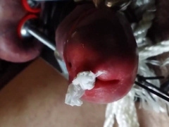 COCK BALL TORTURE with a stainless tube clips on sack and supah man juice