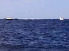 Two Sea Loving Studs Masturbate