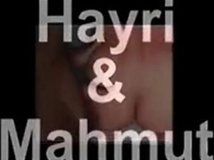 Turkish Bears Hardcore 2