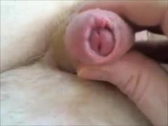 Cum 1563