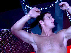 Popshot, heterosexual, muscle