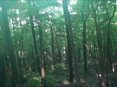 Nature Hike & Greater Quantity