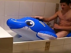 Dolphin In The Bath