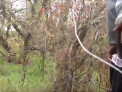 Three men in the woods 3