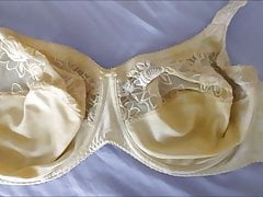 bra Primadonna 36F