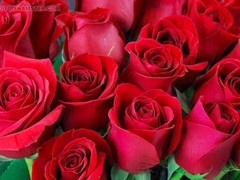 Bangladeshi, hd videos, ai