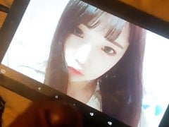 Korea cumtribute