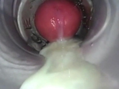 Amateur Big Cock Handjob Masturbation