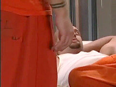 Ass fucking, gay fuck, muscle