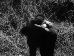 Un chant d` amour (A boyg of Love)