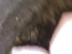 Shaved dick