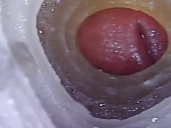 Sexy and hot dick cum shot ninety eight.