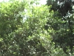 1095 Latino Muscle Straight Curious Fucking In Exhib Outdoor