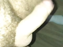 Uncut soft swinging dick