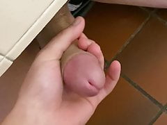 Understall handjob in public rest stop (no cum)