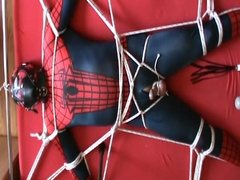 Spiderman In The Frame