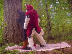 The Dog Days Of Summer