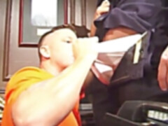 gonzo muscle otters in the office