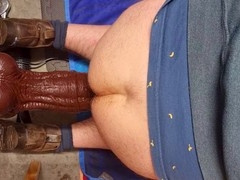 Straight Aussie receives a drilling from a machine with a Minotaur XXL toy in session ten