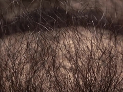 Louivmane Hairy Gay Bear Cumshot Pov