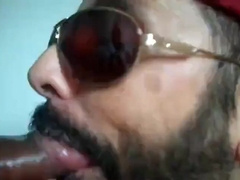 Bezerro carioca mamando os machos 7