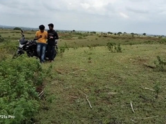 This Is A Romantic Tour From The Time My Pal And