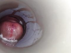 moaning and cumming in toy 2