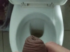 Public Rest Room - Extraordinary.