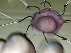 Cbt extreme cock torture with fishhooks  part 1