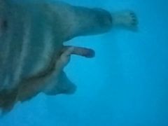 Naked in Pool show my hard Cock