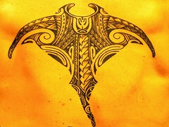 Three dildos one guy