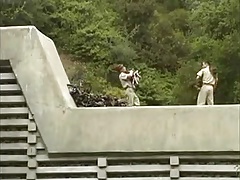 Ranger & Wildlands - Scene 2