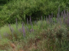 A Pervert Gay Offered To A Guy A Way To Make Some Extra Money 538