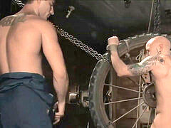 The Farmer & The punk